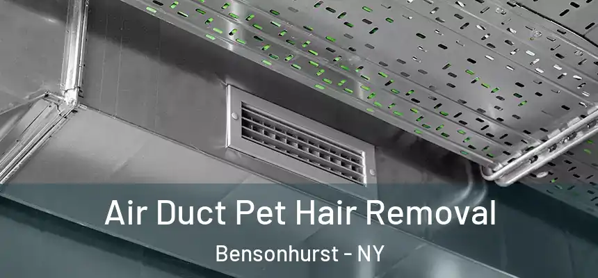  Air Duct Pet Hair Removal Bensonhurst - NY