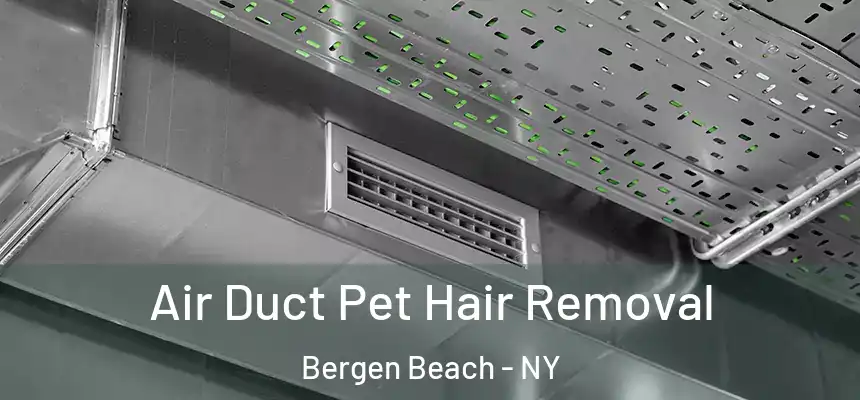 Air Duct Pet Hair Removal Bergen Beach - NY