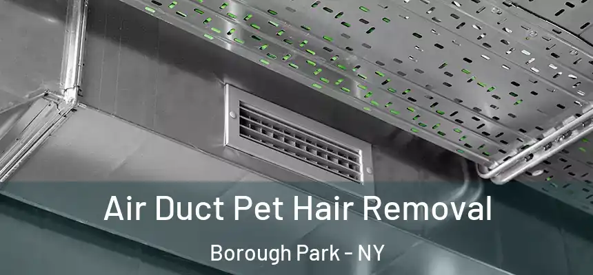Air Duct Pet Hair Removal Borough Park - NY