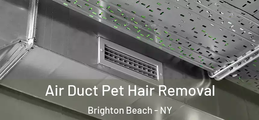 Air Duct Pet Hair Removal Brighton Beach - NY