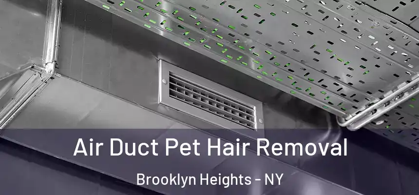 Air Duct Pet Hair Removal Brooklyn Heights - NY