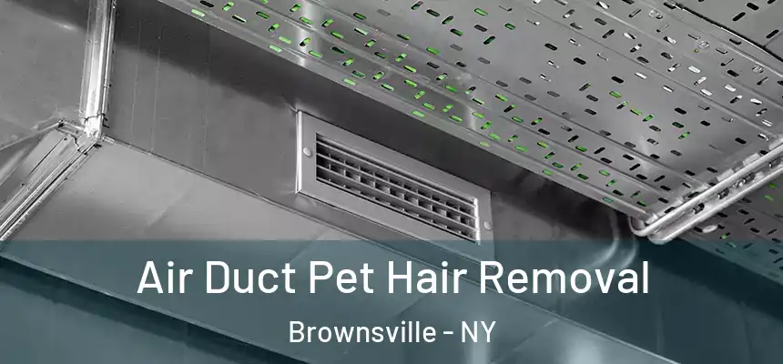 Air Duct Pet Hair Removal Brownsville - NY