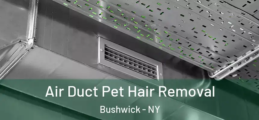 Air Duct Pet Hair Removal Bushwick - NY