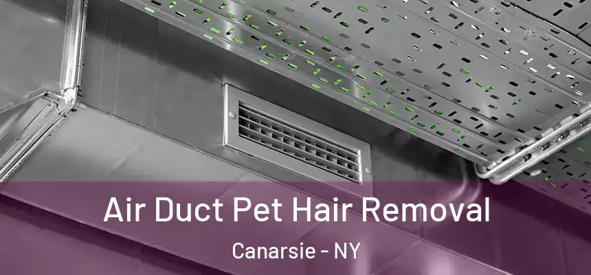 Air Duct Pet Hair Removal Canarsie - NY