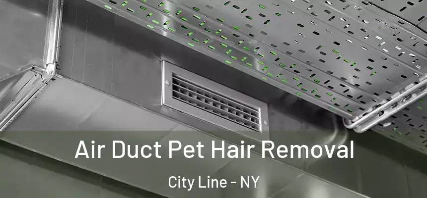 Air Duct Pet Hair Removal City Line - NY