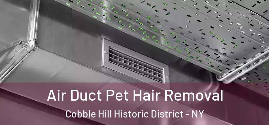  Air Duct Pet Hair Removal Cobble Hill Historic District - NY