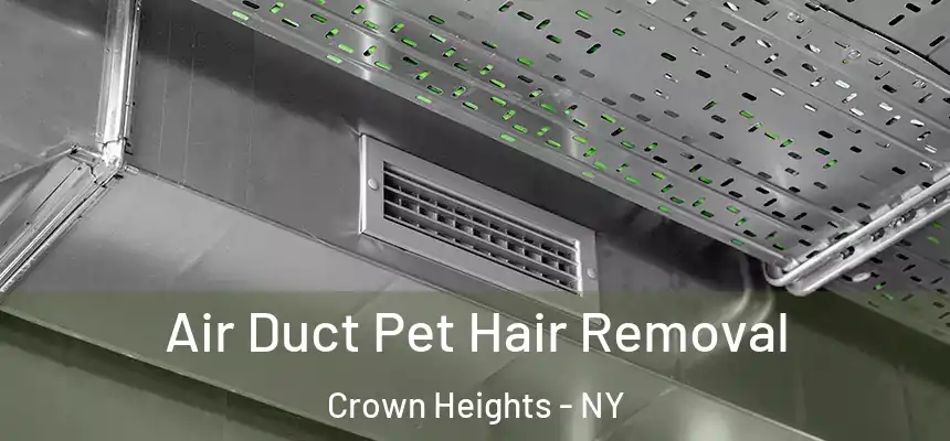 Air Duct Pet Hair Removal Crown Heights - NY