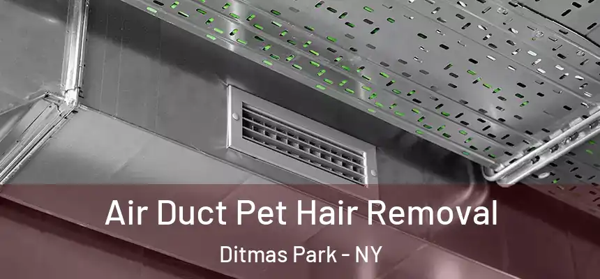 Air Duct Pet Hair Removal Ditmas Park - NY