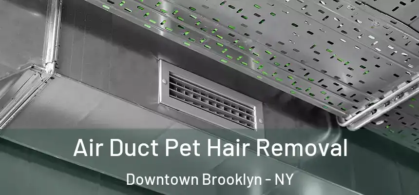  Air Duct Pet Hair Removal Downtown Brooklyn - NY