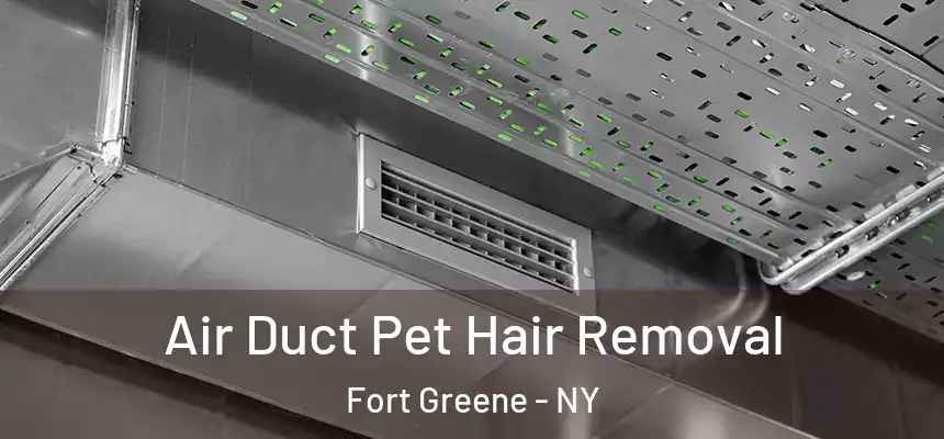 Air Duct Pet Hair Removal Fort Greene - NY
