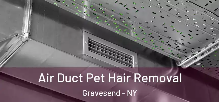 Air Duct Pet Hair Removal Gravesend - NY