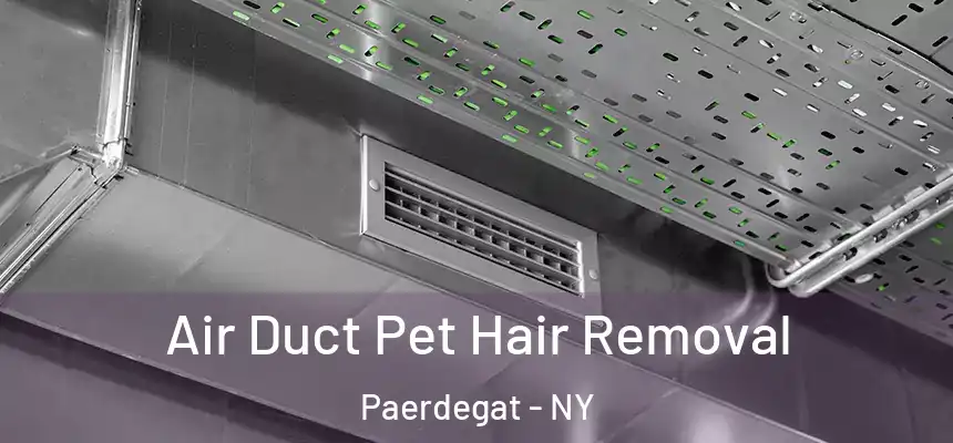 Air Duct Pet Hair Removal Paerdegat - NY