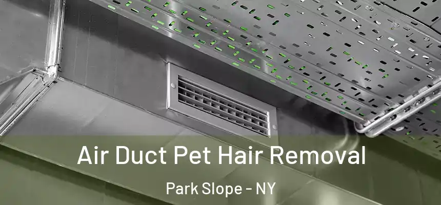  Air Duct Pet Hair Removal Park Slope - NY