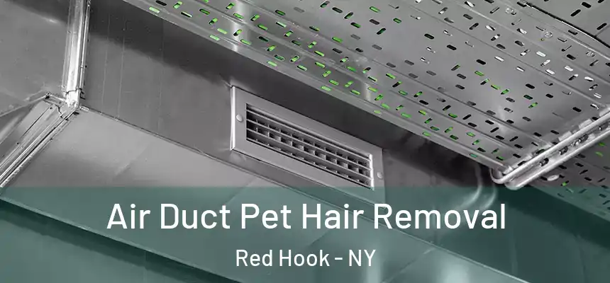  Air Duct Pet Hair Removal Red Hook - NY