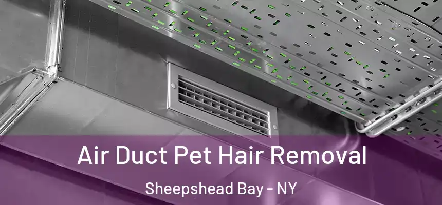 Air Duct Pet Hair Removal Sheepshead Bay - NY