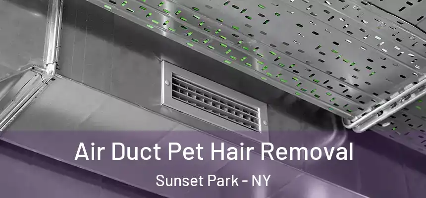 Air Duct Pet Hair Removal Sunset Park - NY