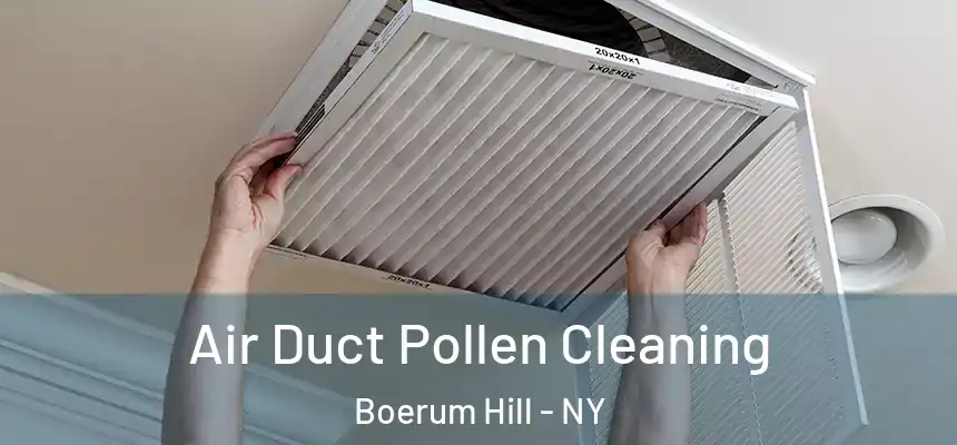 Air Duct Pollen Cleaning Boerum Hill - NY