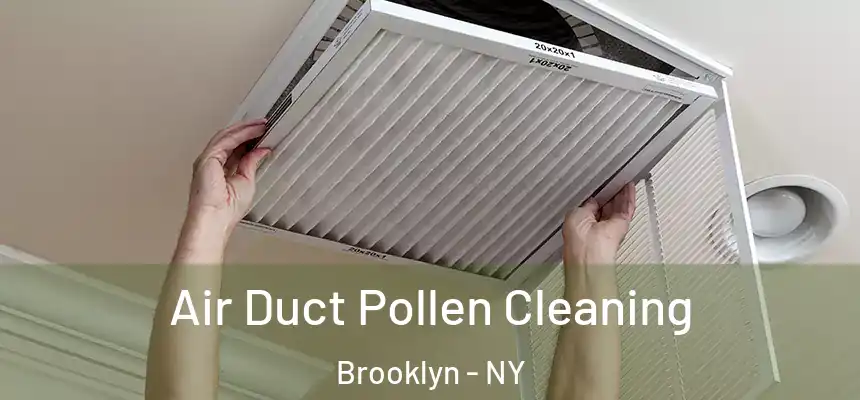 Air Duct Pollen Cleaning Brooklyn - NY
