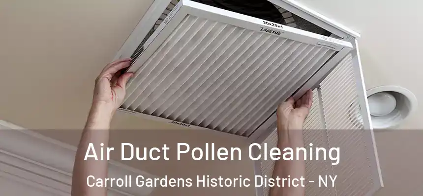 Air Duct Pollen Cleaning Carroll Gardens Historic District - NY