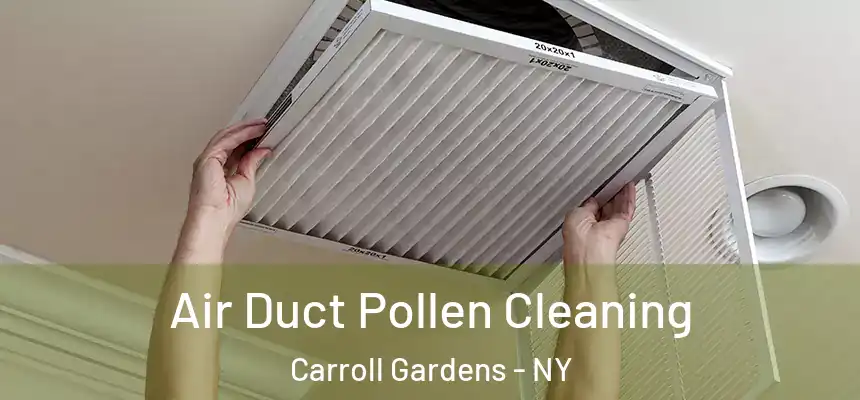 Air Duct Pollen Cleaning Carroll Gardens - NY