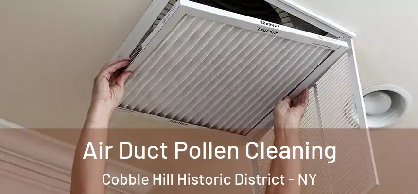 Air Duct Pollen Cleaning Cobble Hill Historic District - NY