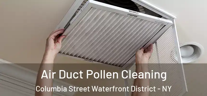 Air Duct Pollen Cleaning Columbia Street Waterfront District - NY