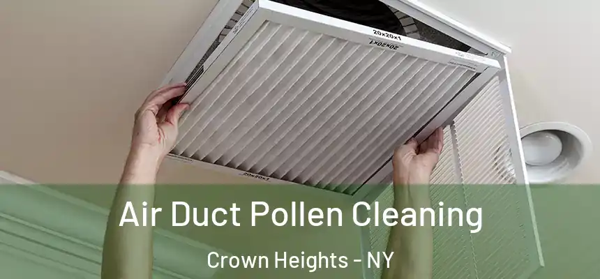 Air Duct Pollen Cleaning Crown Heights - NY