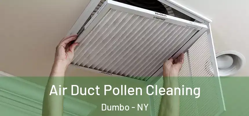 Air Duct Pollen Cleaning Dumbo - NY