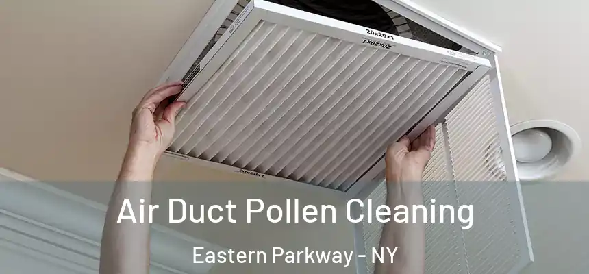 Air Duct Pollen Cleaning Eastern Parkway - NY