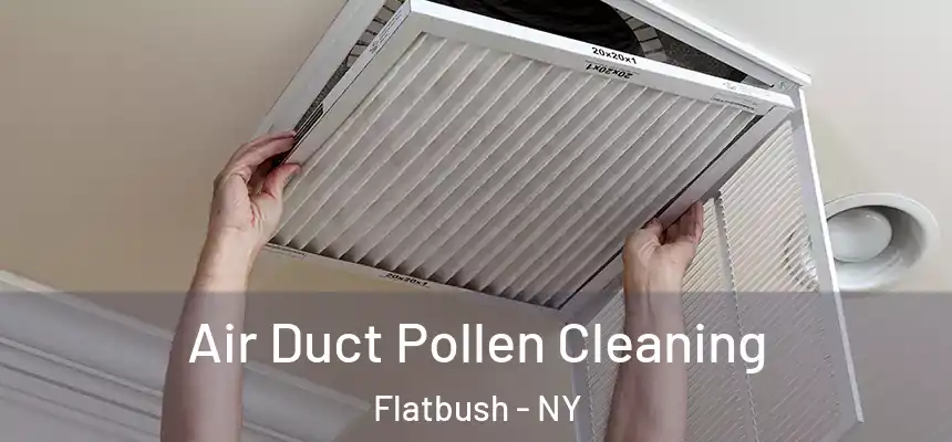 Air Duct Pollen Cleaning Flatbush - NY
