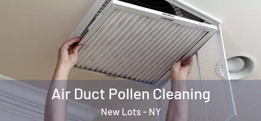 Air Duct Pollen Cleaning New Lots - NY