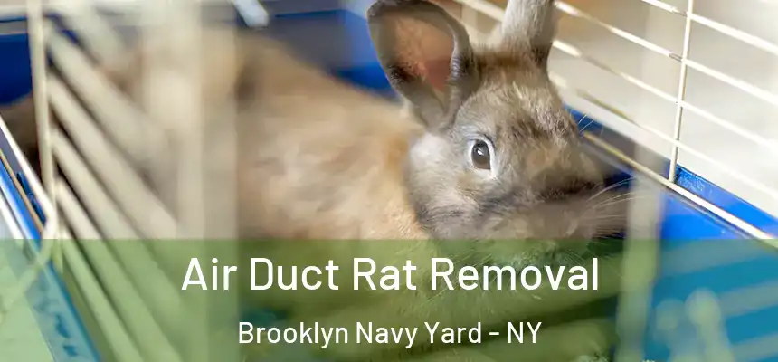 Air Duct Rat Removal Brooklyn Navy Yard - NY