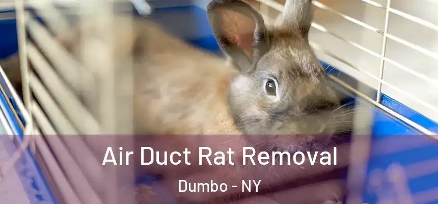 Air Duct Rat Removal Dumbo - NY