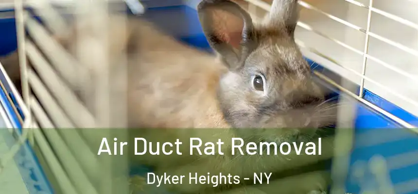 Air Duct Rat Removal Dyker Heights - NY