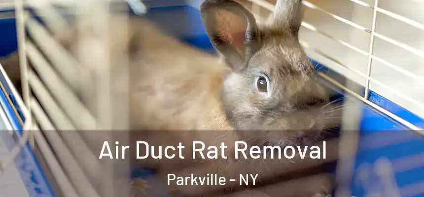 Air Duct Rat Removal Parkville - NY