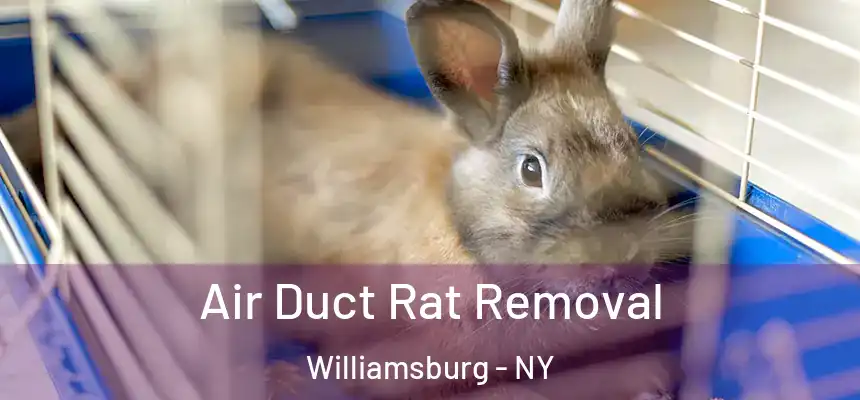 Air Duct Rat Removal Williamsburg - NY