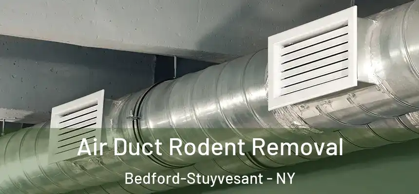 Air Duct Rodent Removal Bedford-Stuyvesant - NY