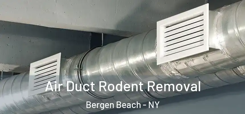 Air Duct Rodent Removal Bergen Beach - NY