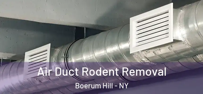 Air Duct Rodent Removal Boerum Hill - NY