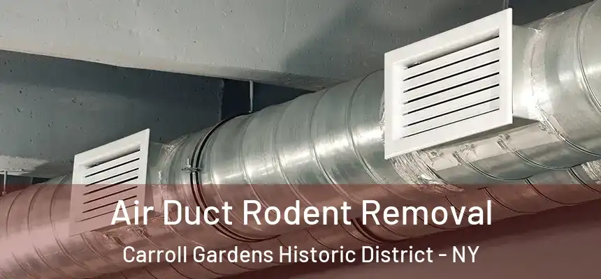 Air Duct Rodent Removal Carroll Gardens Historic District - NY