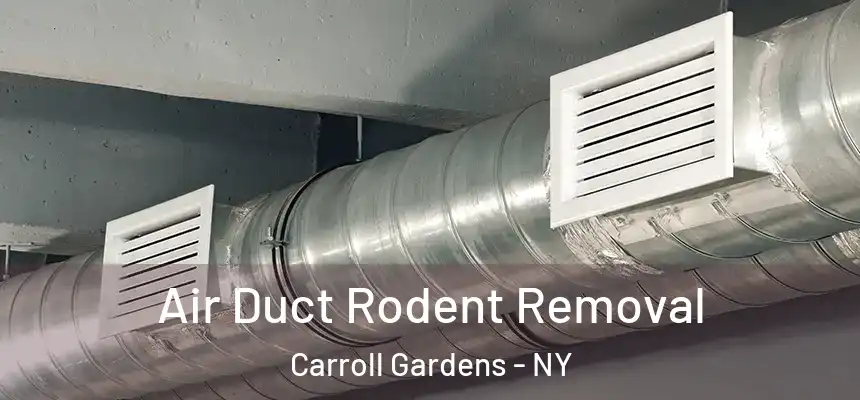Air Duct Rodent Removal Carroll Gardens - NY