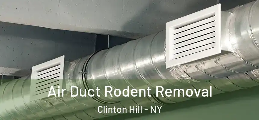 Air Duct Rodent Removal Clinton Hill - NY
