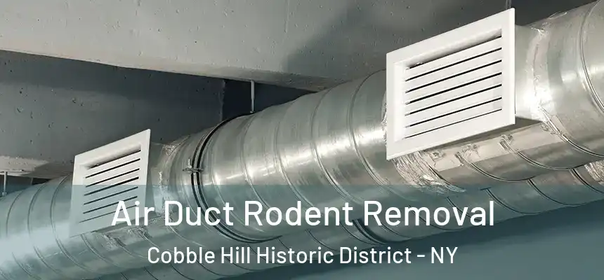 Air Duct Rodent Removal Cobble Hill Historic District - NY