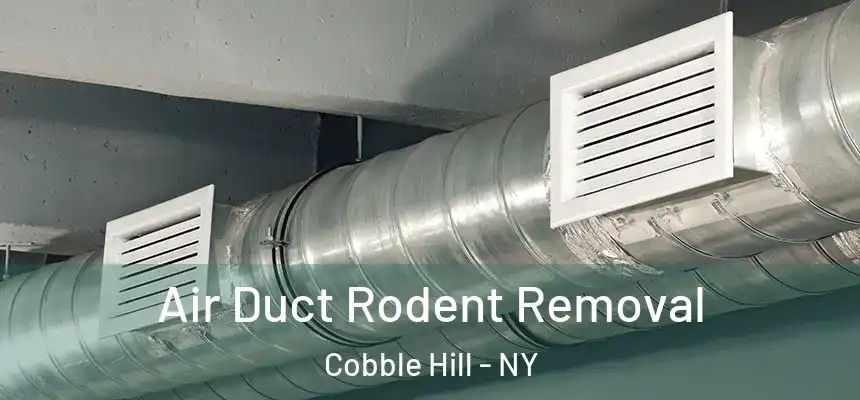 Air Duct Rodent Removal Cobble Hill - NY