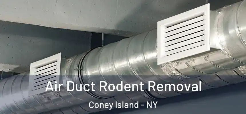 Air Duct Rodent Removal Coney Island - NY