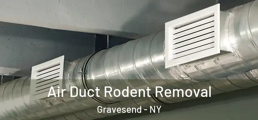 Air Duct Rodent Removal Gravesend - NY
