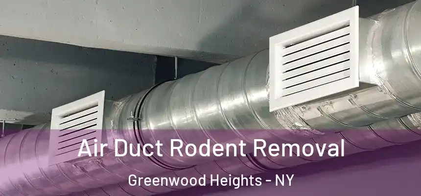 Air Duct Rodent Removal Greenwood Heights - NY