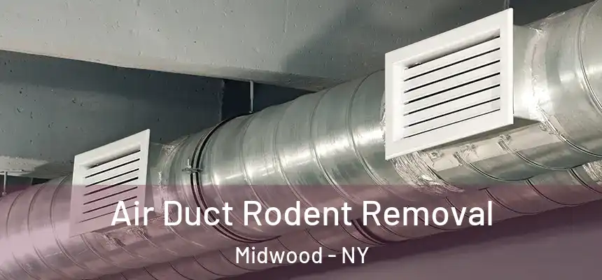 Air Duct Rodent Removal Midwood - NY