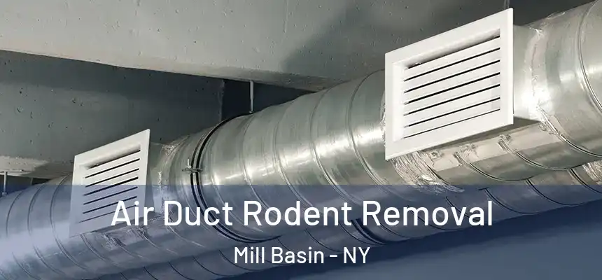 Air Duct Rodent Removal Mill Basin - NY