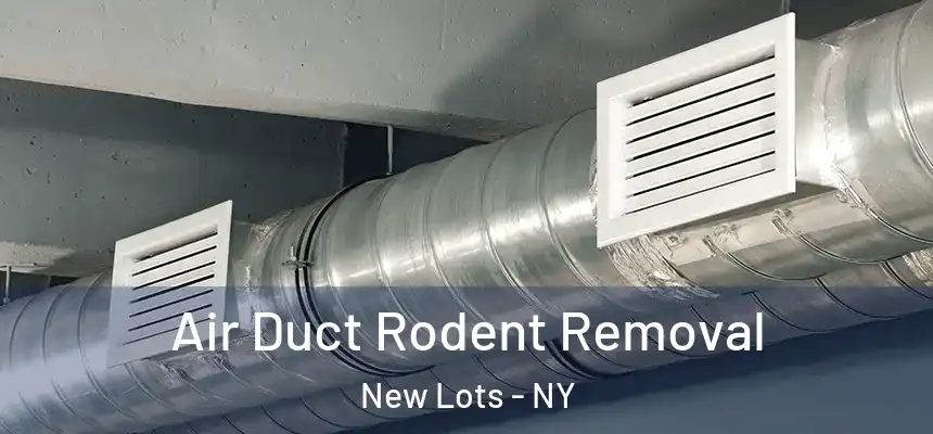 Air Duct Rodent Removal New Lots - NY